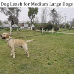 MayPaw Heavy Duty Nylon Dog Leash, 6ft