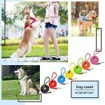 MayPaw Heavy Duty Nylon Dog Leash, 6ft