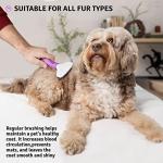 Poodle Slicker Brush for Dogs and Cats
