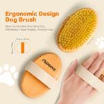 Professional Boar Bristle Brush for Short-Haired Dogs