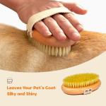Professional Boar Bristle Brush for Short-Haired Dogs