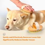 Professional Boar Bristle Brush for Short-Haired Dogs