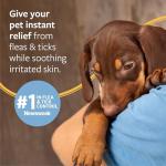 Flea and Tick Shampoo for Dogs and Cats