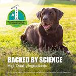 Dasuquin Joint Health Supplement for Small Dogs