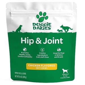 Women's Gowalk High Rise Dog Walking Leggings