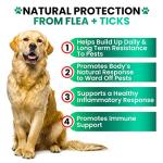 Natural Flea & Tick Prevention Chewables for Dogs