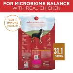 Purina ONE Chicken & Rice Dry Dog Food 31.1 lb