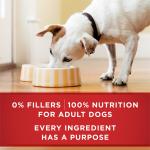 Purina ONE Beef & Chicken Wet Dog Food Variety