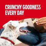 Small Milk-Bone Dog Biscuits, 24 oz