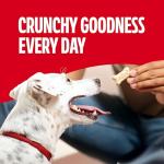 Small Milk-Bone Dog Biscuits, 24 oz