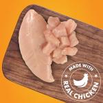 Real Chicken Jerky Dog Treats - 16 Ounces