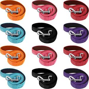 12 Pack Reflective Dog Leash with Padded Handle