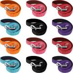12 Pack Reflective Dog Leash with Padded Handle