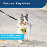 PetSafe Chew-Resistant Nylon Dog Training Leash