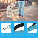 12 Pack Reflective Dog Leash with Padded Handle