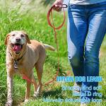 12 Pack Reflective Dog Leash with Padded Handle