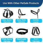 PetSafe Chew-Resistant Nylon Dog Training Leash