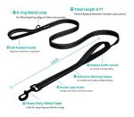 Durable Dog Leash with Dual Handles - 6 ft