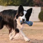 Ruffoo GnawBell Durable Dog Toy for Aggressive Chewers