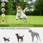 Automatic Ball Launcher for Interactive Dog Fetch