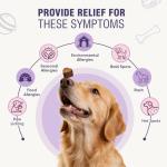 Dog Allergy Chews for Itchy Skin Relief