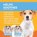 Paw Science Anti-Itch Lotion for Dogs and Cats