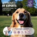 Dog Allergy Chews for Itchy Skin Relief