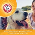 Arm & Hammer 2-in-1 Dog Shampoo & Conditioner