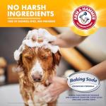 Arm & Hammer 5-in-1 Dog Shampoo, Vanilla Sandalwood