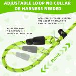 8 Pack Reflective Slip Leads for Dogs