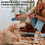 Double-Sided Grooming Brush Set for Pets