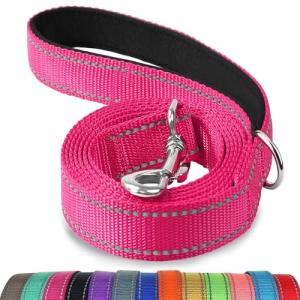 Joytale 6FT Reflective Dog Leash with Padded Handle