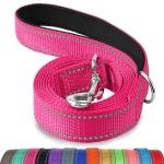 Joytale 6FT Reflective Dog Leash with Padded Handle