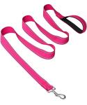 Joytale 6FT Reflective Dog Leash with Padded Handle
