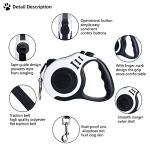 Retractable 10ft Dog Leash for Small Dogs