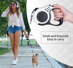 Retractable 10ft Dog Leash for Small Dogs