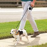 Retractable 10ft Dog Leash for Small Dogs
