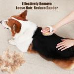 Palm Brush for Short Hair Dogs and Cats