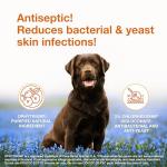 Douxo S3 Pyo Antiseptic Shampoo for Pets