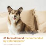 Douxo S3 Pyo Mousse for Dog Skin Care