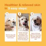 Douxo S3 Pyo Antiseptic Shampoo for Pets