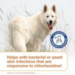 Douxo S3 Pyo Mousse for Dog Skin Care