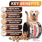 Vet Promise Dog Probiotics and Stool Softener Chews