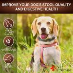 Vet Promise Dog Probiotics and Stool Softener Chews