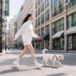 30 FT Retractable Dog Leash for Large Dogs