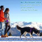 Durable 16ft Retractable Dog Leash for All Dogs