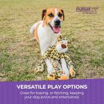 Plush Giraffe Dog Toy with Squeakers