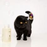 OUAI Fur Bébé Dog Shampoo - Mercer Street Scent