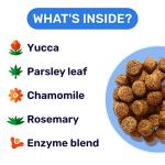 PawfectChew Stool Eating Deterrent for Dogs