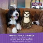 Bark Buddies Sloth Plush Squeaky Dog Toy
